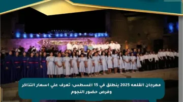 مهرجان القلعة 2025 ينطلق في 15 أغسطس: تعرف على أسعار التذاكر وفرص حضور النجوم